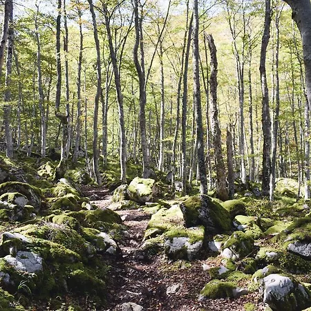 Casa El Rapido Hotel 2*