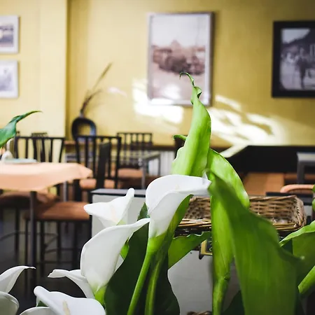 Casa El Rapido 2* فيليتشوسا