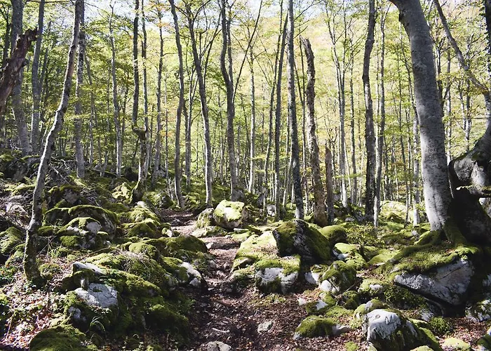 Casa El Rapido Hotel 2*