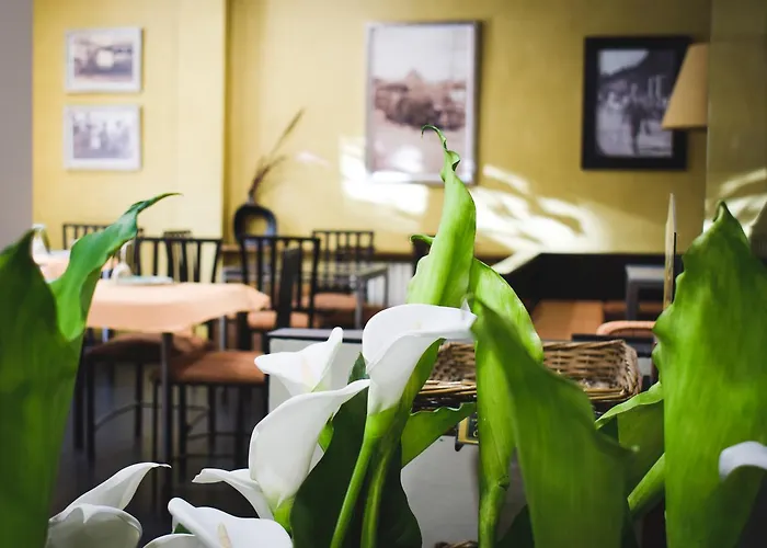 Casa El Rapido 2* Felechosa